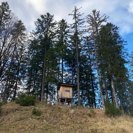 شاليه Chalet Wildalpen