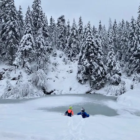 شاليه Chalet Wildalpen