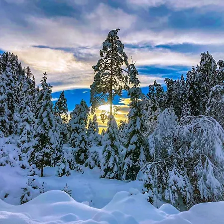 Chalet Wildalpen Wildalpen