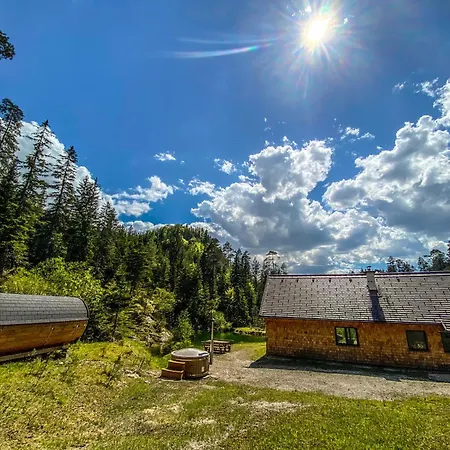 Chalet Wildalpen * Wildalpen