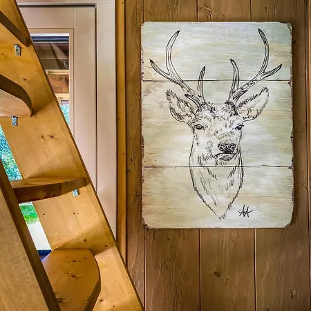 Chalet Wildalpen Chalet