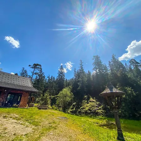 Chalet Wildalpen Wildalpen