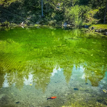 Chalet Wildalpen Wildalpen