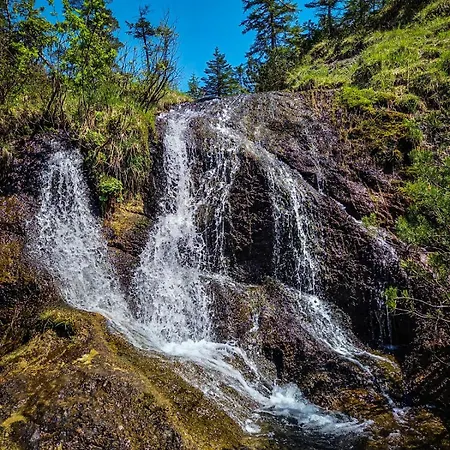 Alpehytte Chalet Wildalpen Wildalpen