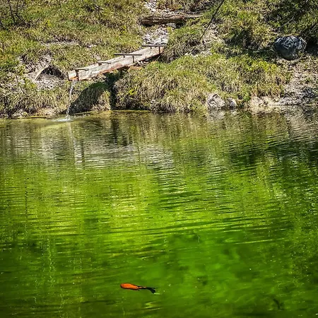 Chalet Wildalpen Alpehytte