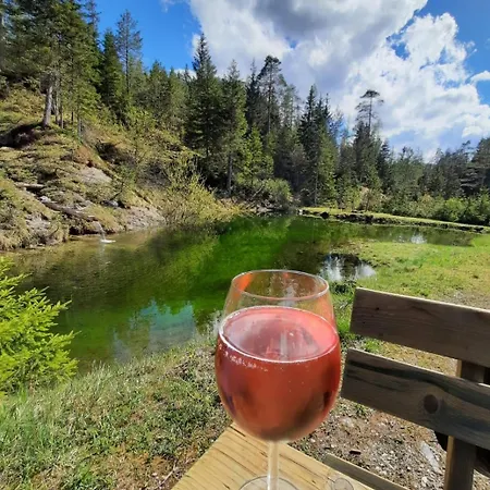 Σαλέ Chalet Wildalpen *