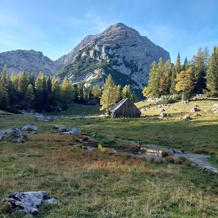 Chalet Wildalpen Σαλέ Wildalpen