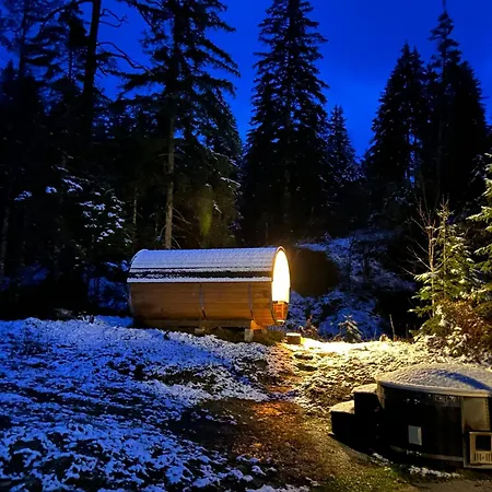 Chalet Wildalpen Σαλέ