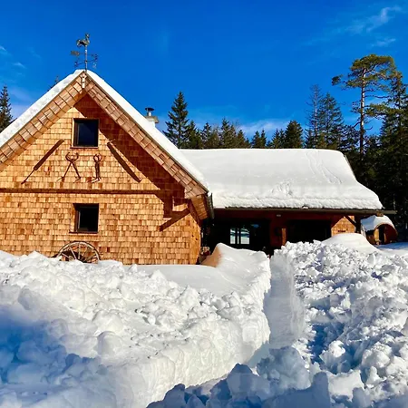 Chalet Wildalpen *