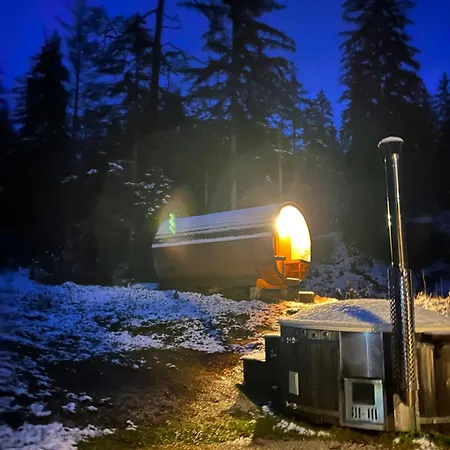 Chalet Wildalpen Chalet *