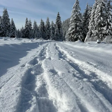 Σαλέ Chalet Wildalpen *