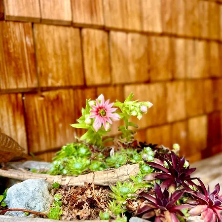 Chalet Chalet Wildalpen Wildalpen