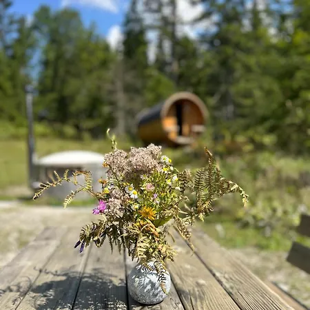 Chalet Wildalpen Alpehytte