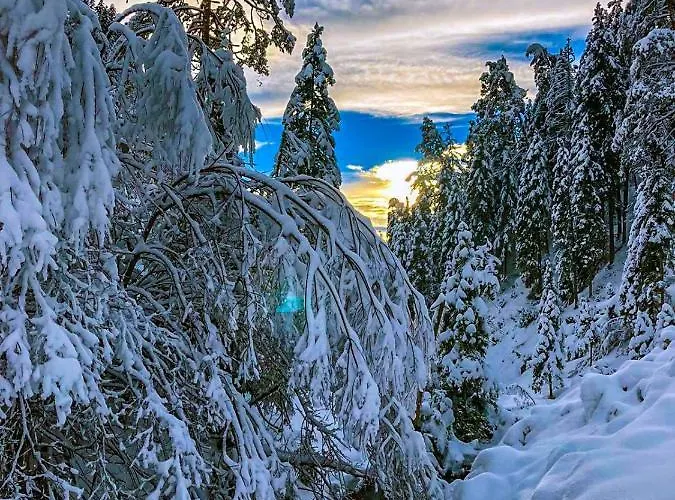 Chalet Wildalpen Chalet Wildalpen