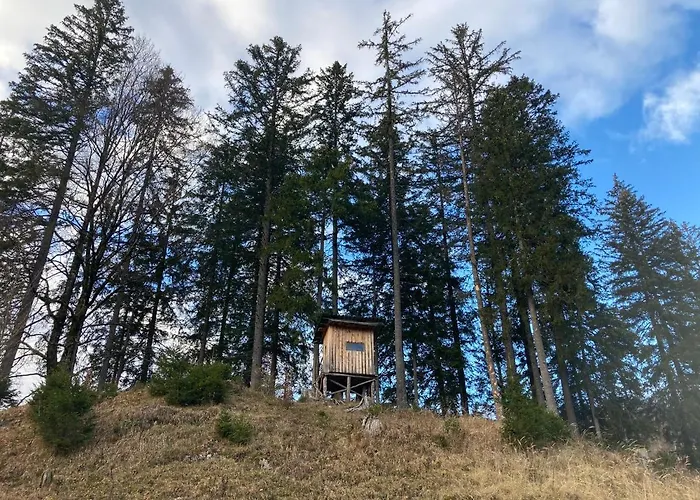 Chalet Chalet Wildalpen