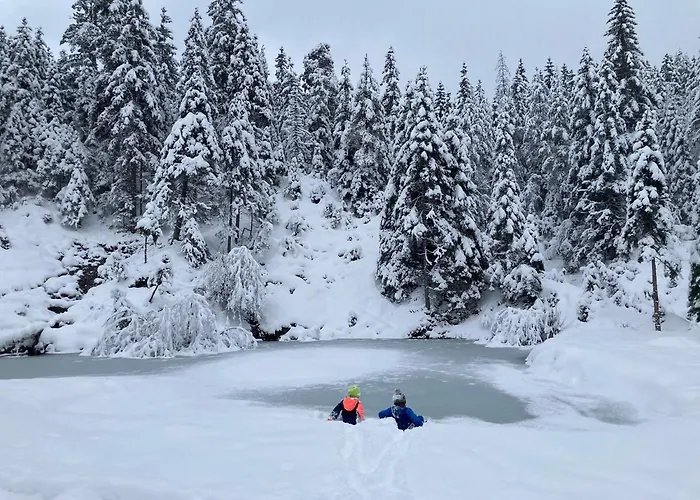 Chalet Chalet Wildalpen