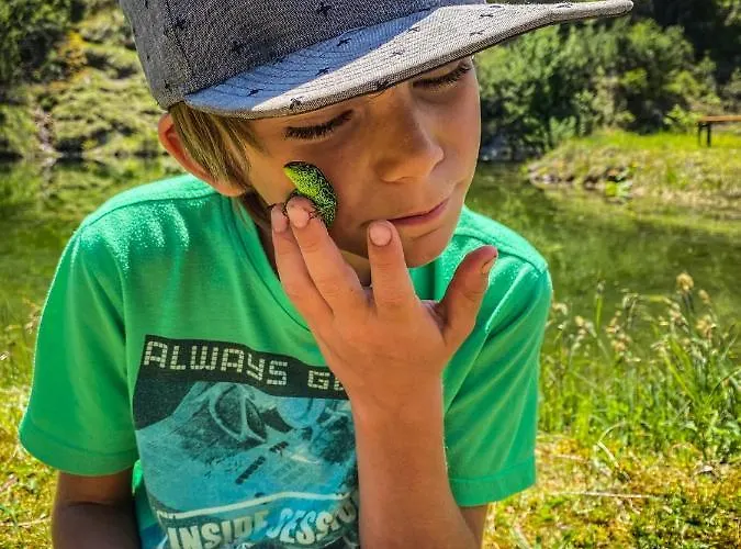 Chalet Wildalpen * Wildalpen