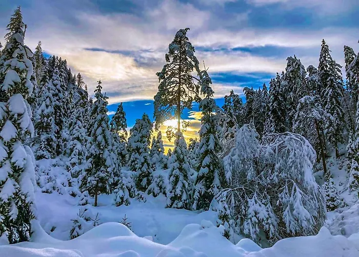 Chalet Wildalpen Wildalpen