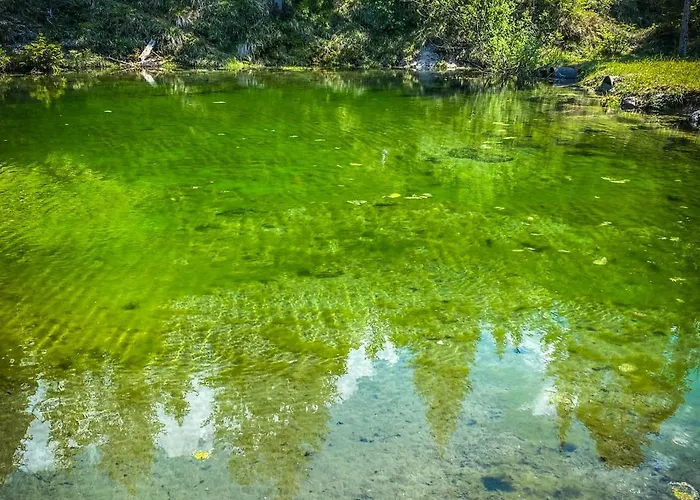 Chalet Wildalpen Wildalpen