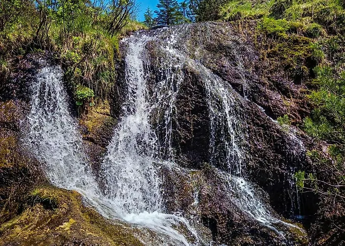 Chalet Chalet Wildalpen Wildalpen