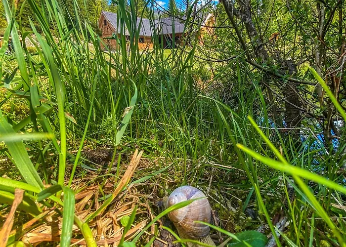 Chalet Wildalpen * Wildalpen