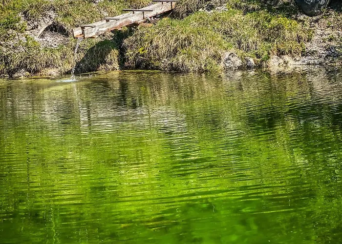 Chalet Wildalpen Chalet