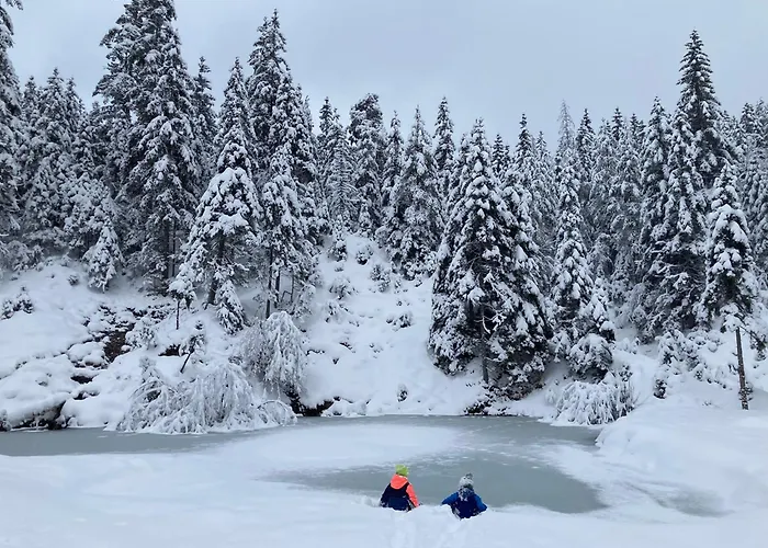 Chalet Chalet Wildalpen Wildalpen