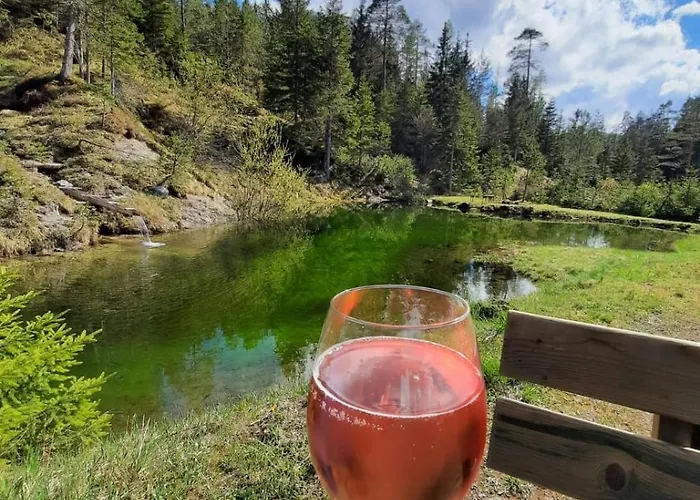 Chalet Chalet Wildalpen *