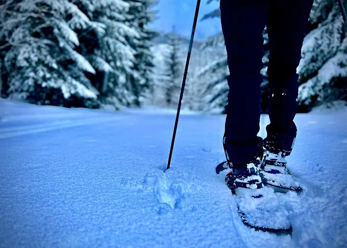 Chalet Chalet Wildalpen