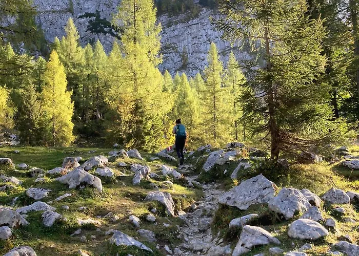 Chalet Wildalpen Chalet Wildalpen