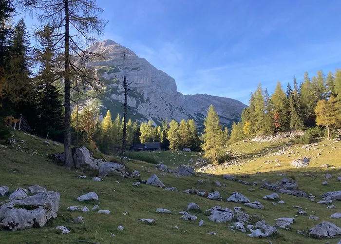 Chalet Wildalpen Chalet *