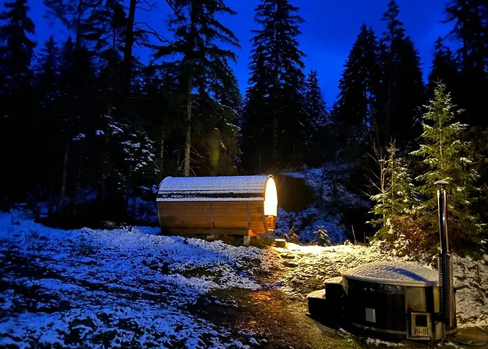 Chalet Wildalpen Chalet