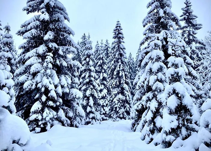 Chalet Wildalpen Wildalpen