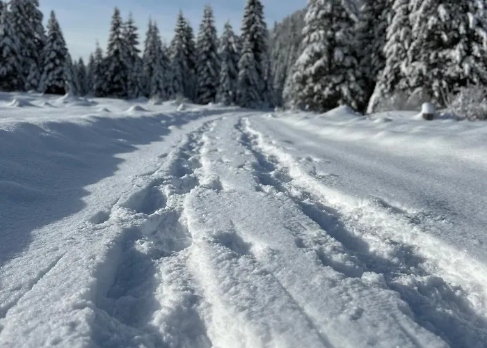 Chalet Chalet Wildalpen *