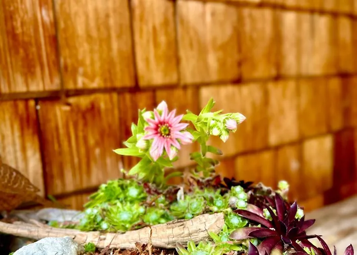 샬레 Chalet Wildalpen 윌달펜