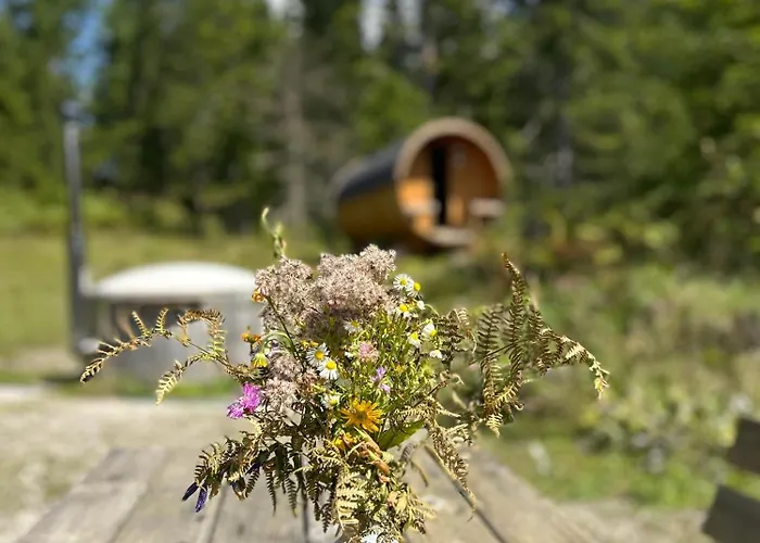 Chalet Wildalpen Chalet